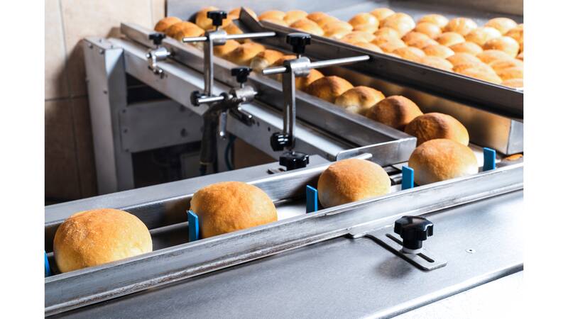 Biscuit/Cookie production