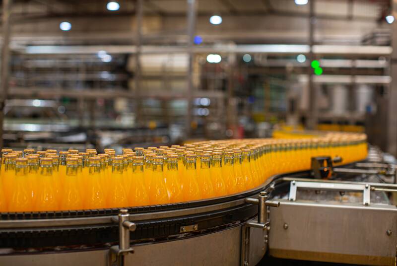 Biscuit/Cookie production