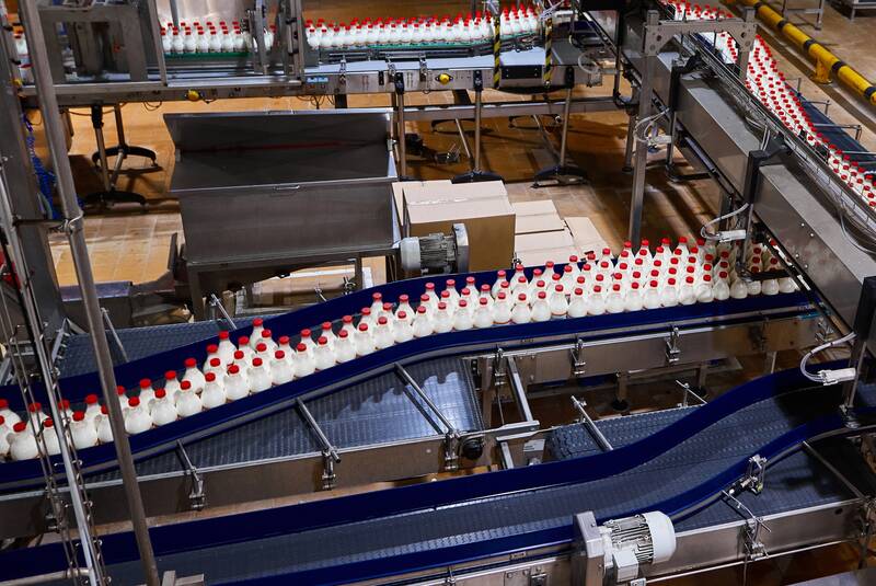 Biscuit/Cookie production