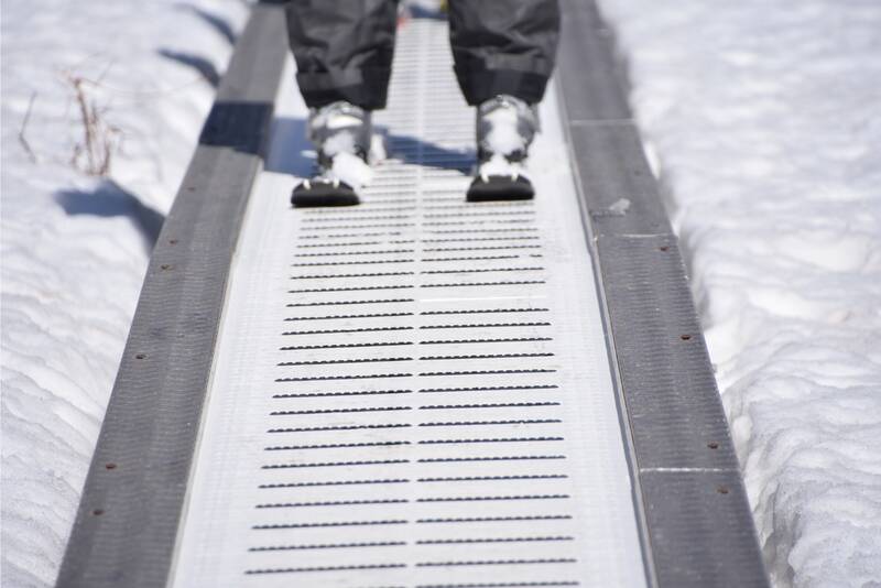 Biscuit/Cookie production